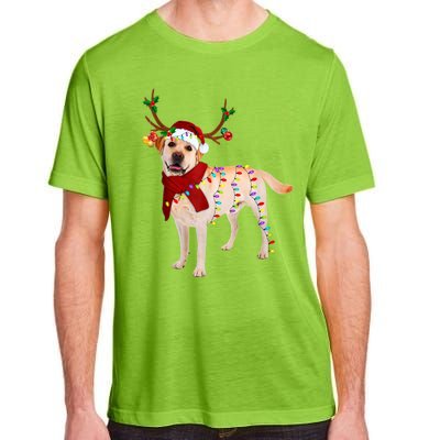 Santa Labrador Retriever Reindeer Light Christmas T Adult ChromaSoft Performance T-Shirt