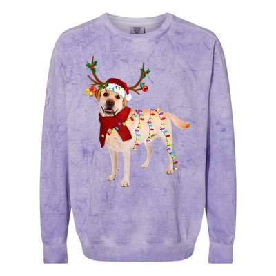 Santa Labrador Retriever Reindeer Light Christmas T Colorblast Crewneck Sweatshirt