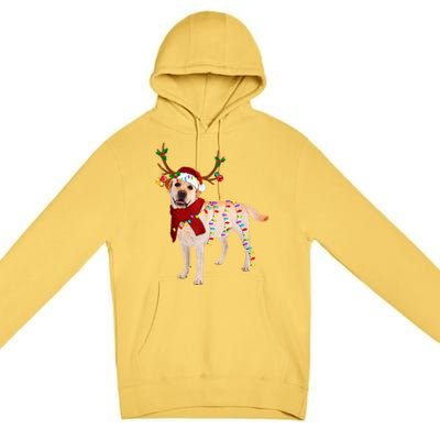 Santa Labrador Retriever Reindeer Light Christmas T Premium Pullover Hoodie