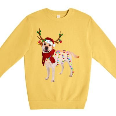 Santa Labrador Retriever Reindeer Light Christmas T Premium Crewneck Sweatshirt