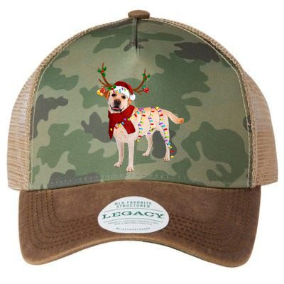 Santa Labrador Retriever Reindeer Light Christmas T Legacy Tie Dye Trucker Hat