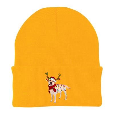 Santa Labrador Retriever Reindeer Light Christmas T Knit Cap Winter Beanie