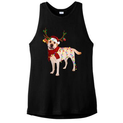 Santa Labrador Retriever Reindeer Light Christmas T Ladies PosiCharge Tri-Blend Wicking Tank