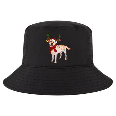 Santa Labrador Retriever Reindeer Light Christmas T Cool Comfort Performance Bucket Hat