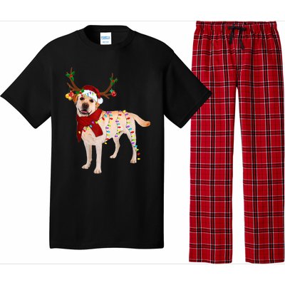 Santa Labrador Retriever Reindeer Light Christmas T Pajama Set