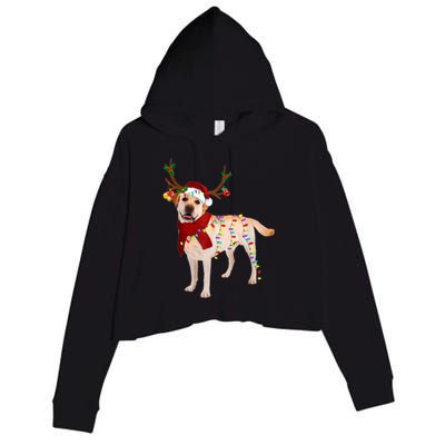 Santa Labrador Retriever Reindeer Light Christmas T Crop Fleece Hoodie