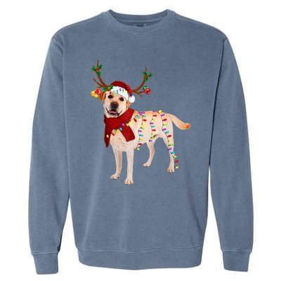 Santa Labrador Retriever Reindeer Light Christmas T Garment-Dyed Sweatshirt