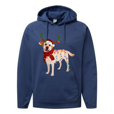 Santa Labrador Retriever Reindeer Light Christmas T Performance Fleece Hoodie