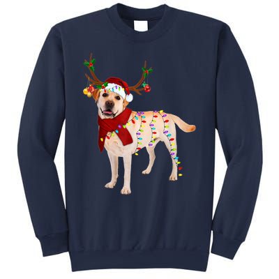 Santa Labrador Retriever Reindeer Light Christmas T Sweatshirt