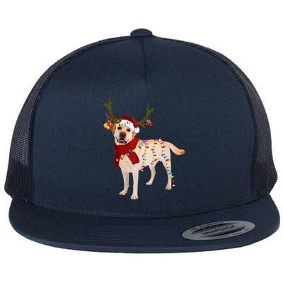 Santa Labrador Retriever Reindeer Light Christmas T Flat Bill Trucker Hat