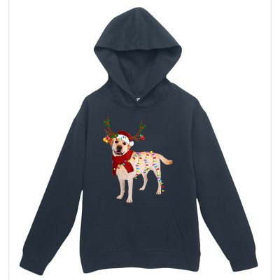 Santa Labrador Retriever Reindeer Light Christmas T Urban Pullover Hoodie