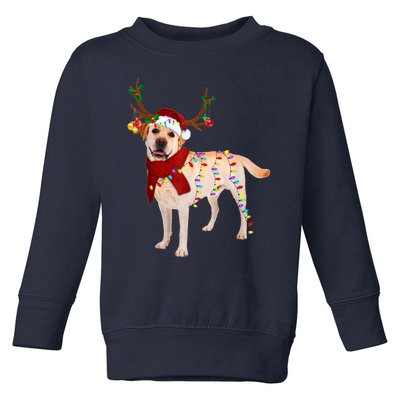 Santa Labrador Retriever Reindeer Light Christmas T Toddler Sweatshirt