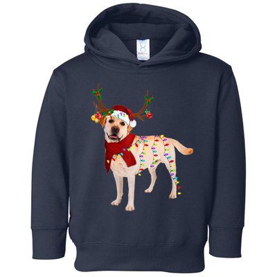 Santa Labrador Retriever Reindeer Light Christmas T Toddler Hoodie