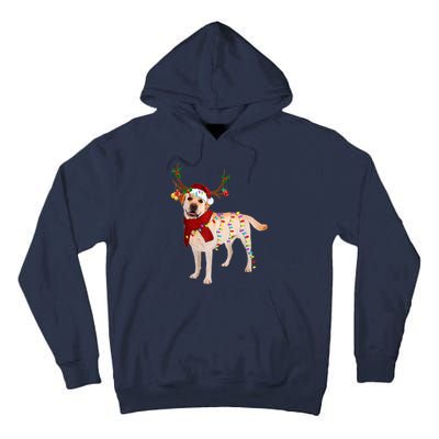 Santa Labrador Retriever Reindeer Light Christmas T Tall Hoodie