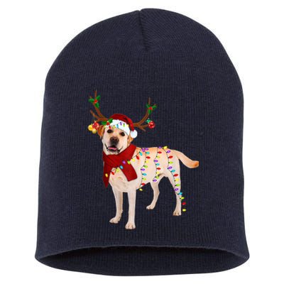 Santa Labrador Retriever Reindeer Light Christmas T Short Acrylic Beanie