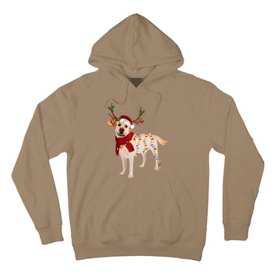 Santa Labrador Retriever Reindeer Light Christmas T Hoodie