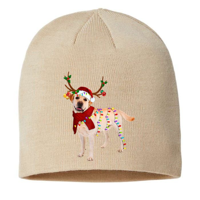 Santa Labrador Retriever Reindeer Light Christmas T Sustainable Beanie