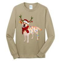 Santa Labrador Retriever Reindeer Light Christmas T Tall Long Sleeve T-Shirt