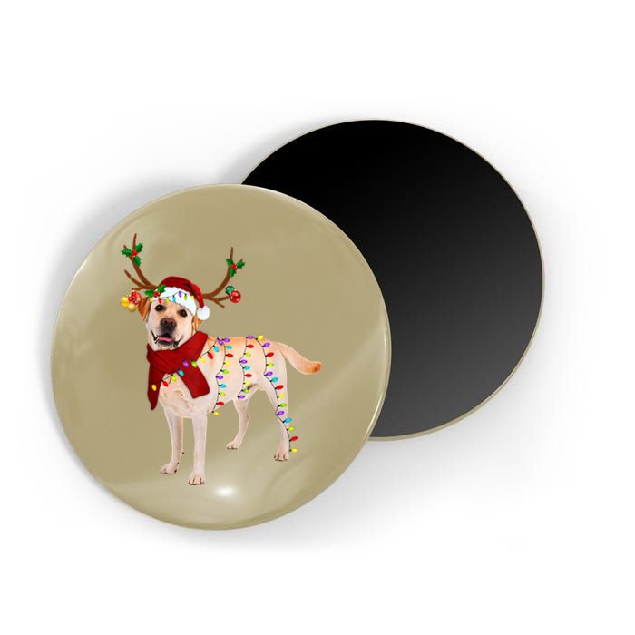 Santa Labrador Retriever Reindeer Light Christmas T Magnet