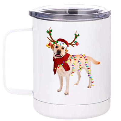 Santa Labrador Retriever Reindeer Light Christmas T 12 oz Stainless Steel Tumbler Cup