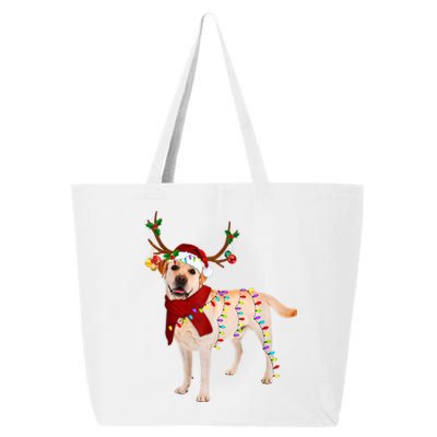 Santa Labrador Retriever Reindeer Light Christmas T 25L Jumbo Tote