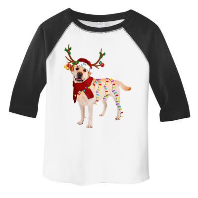 Santa Labrador Retriever Reindeer Light Christmas T Toddler Fine Jersey T-Shirt