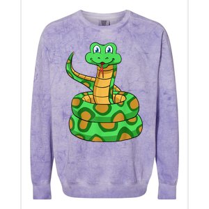 Snake Lover Reptile Cobra Python Boa Herpetologist Colorblast Crewneck Sweatshirt