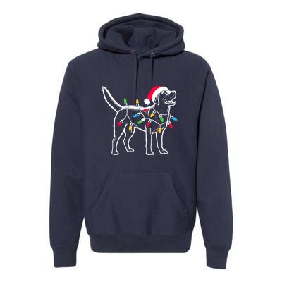 Santa Labrador Retriever Funny Christmas Lights Dog Lover Gift Premium Hoodie