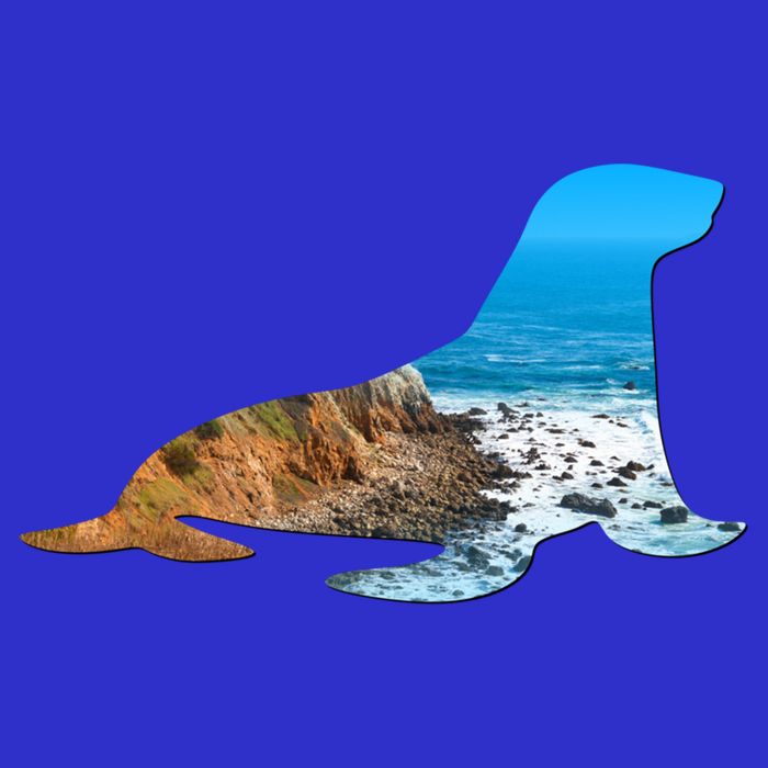 Sea Lion Seal Lovers Silhouette Earth Day And Ocean Week Gift 16 in Basic Backpack