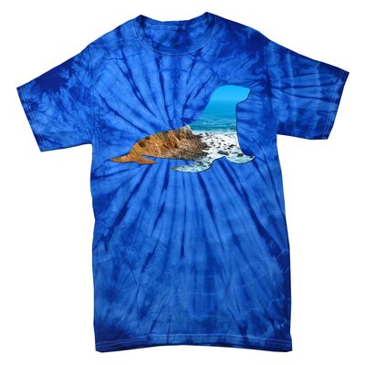 Sea Lion Seal Lovers Silhouette Earth Day And Ocean Week Gift Tie-Dye T-Shirt