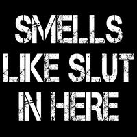 Smells Like Slut In Here Shirt Offensive Funny Humor Vintage 7-Panel Snapback Hat