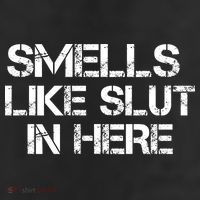 Smells Like Slut In Here Funny 11oz C Handle Ceramic Mug