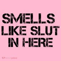 Smells Like Slut In Here Funny Premium T-Shirt