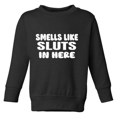Smells Like Sluts In Here Funny Party Bbq College Frat Toddler Sweatshirt