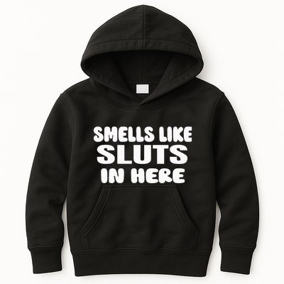 Smells Like Sluts In Here Funny Party Bbq College Frat Kids Hoodie