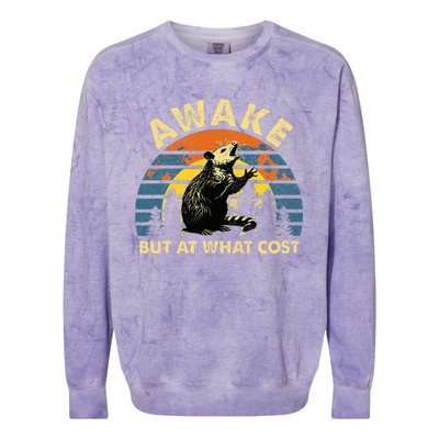 Spoonie Life Sleep Possum Awake But At What Cost Colorblast Crewneck Sweatshirt