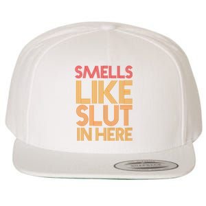 Smells Like Slut In Here Funny Humor Wool Snapback Cap