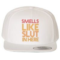 Smells Like Slut In Here Funny Humor Wool Snapback Cap