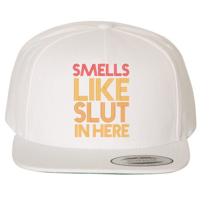 Smells Like Slut In Here Funny Humor Wool Snapback Cap