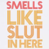 Smells Like Slut In Here Funny Humor Kids T-Shirt