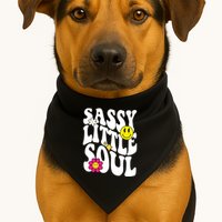 Sassy Little Soul Groovy Retro Cute USA-Made Doggie Bandana