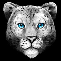 Snow Leopard Sweatshirt