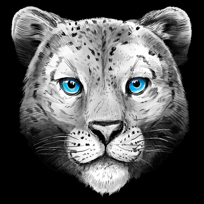 Snow Leopard Sweatshirt