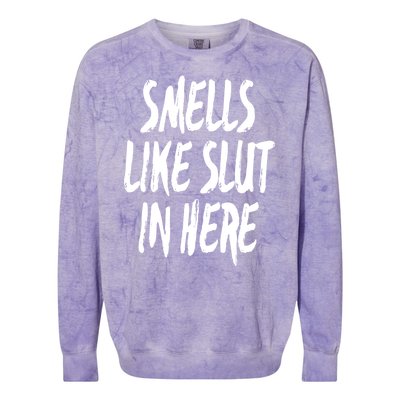 Smells Like Slut In Here Swinger Adult Humor Gift Colorblast Crewneck Sweatshirt