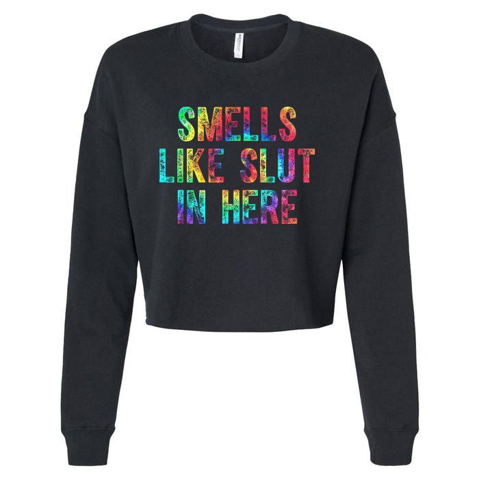 Smells Like Slut In Here Tie Dye Offensive Funny Adult Humor Cropped Pullover Crew