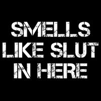 Smells Like Slut In Here Funny Humor Cooling Performance Crew T-Shirt