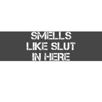 Smells Like Slut In Here Funny Humor Bumper Sticker