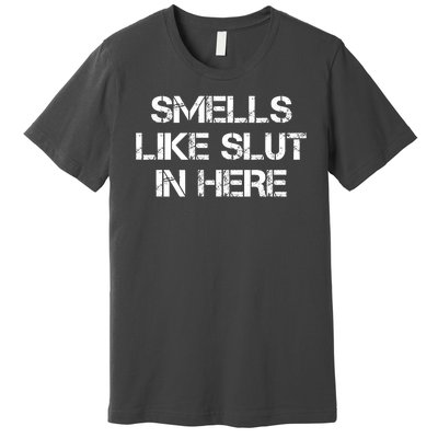 Smells Like Slut In Here Funny Humor Premium T-Shirt