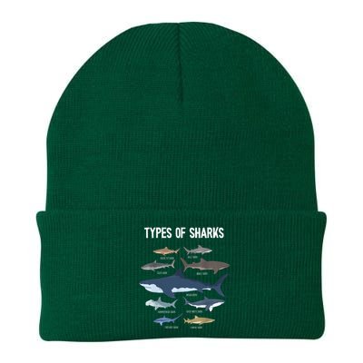 Shark Lover Shirt, Shark Lover Gift, Types Of Shark Knit Cap Winter Beanie