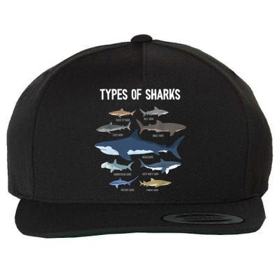 Shark Lover Shirt, Shark Lover Gift, Types Of Shark Wool Snapback Cap